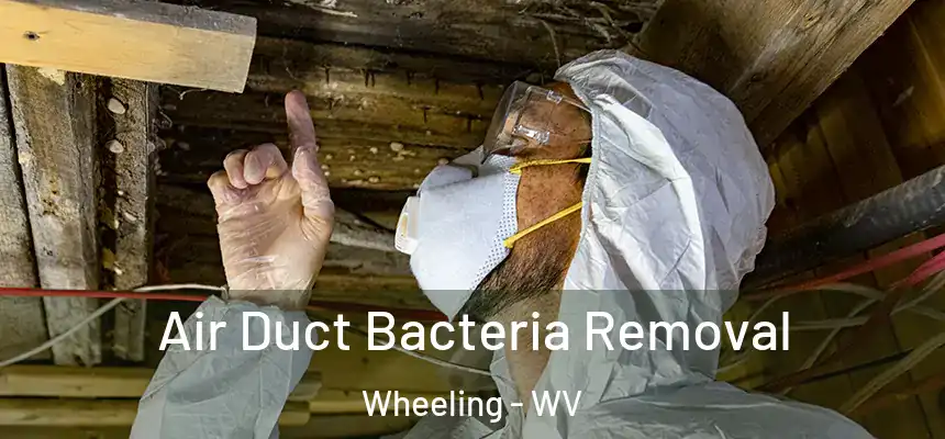  Air Duct Bacteria Removal Wheeling - WV