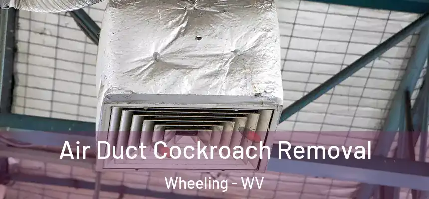 Air Duct Cockroach Removal Wheeling - WV