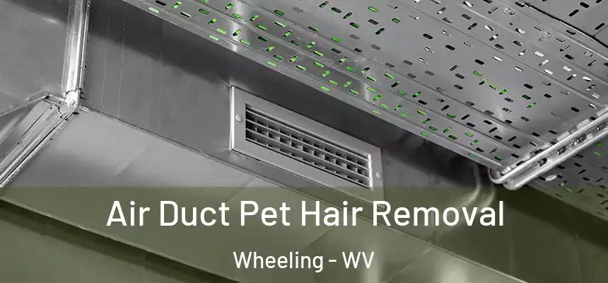  Air Duct Pet Hair Removal Wheeling - WV