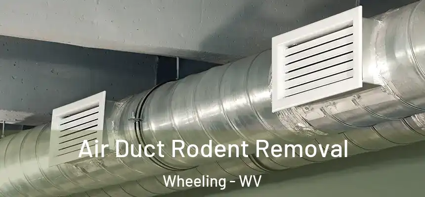 Air Duct Rodent Removal Wheeling - WV