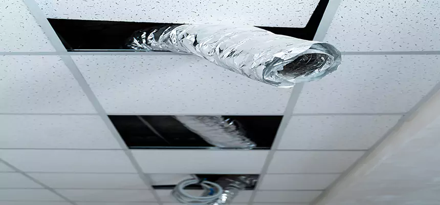 Our Air Duct Pet Hair Removal Services in Wheeling, WV