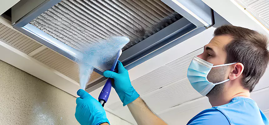 Proactive Dryer Vent & Auxiliary Duct Pollen Cleanup in Wheeling, WV