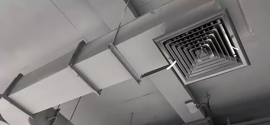 Restorative Allergy Relief Vent Cleaning – Coil, Blower & Housing Detail in Wheeling