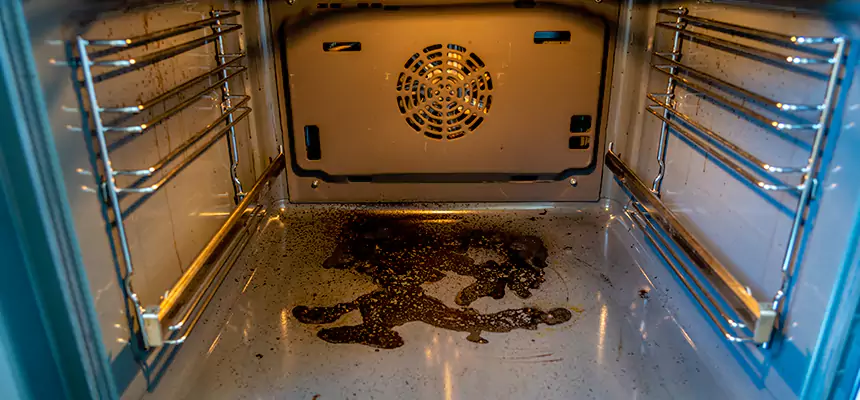 Our Dryer Vent Mold Cleaning Services in Wheeling, WV