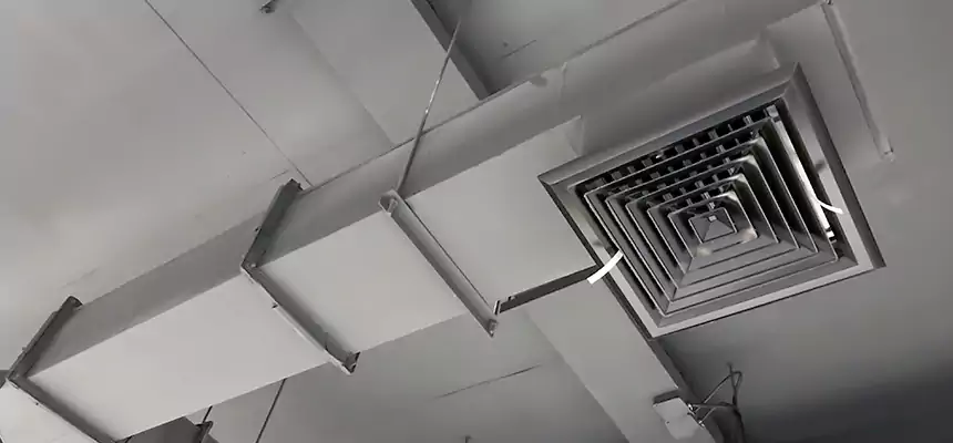 Our Rodent Droppings In Vents Services in Wheeling, WV