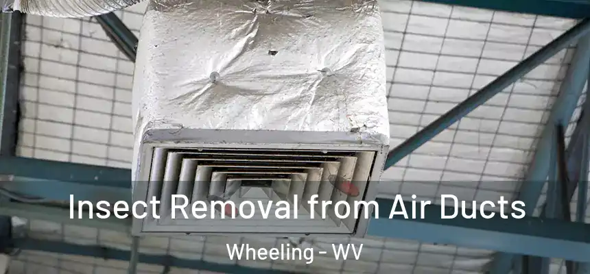  Insect Removal from Air Ducts Wheeling - WV