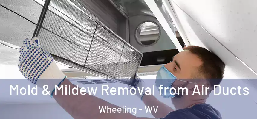  Mold & Mildew Removal from Air Ducts Wheeling - WV