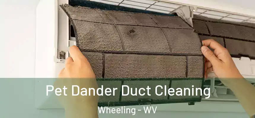  Pet Dander Duct Cleaning Wheeling - WV