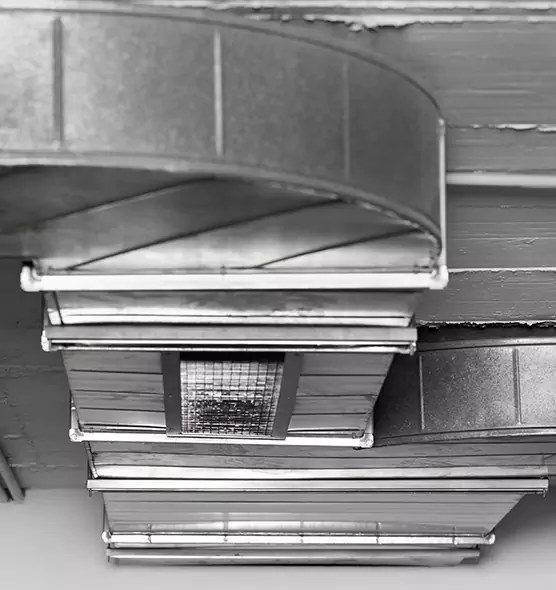 Professional Air Duct Pest Removal in Wheeling, WV