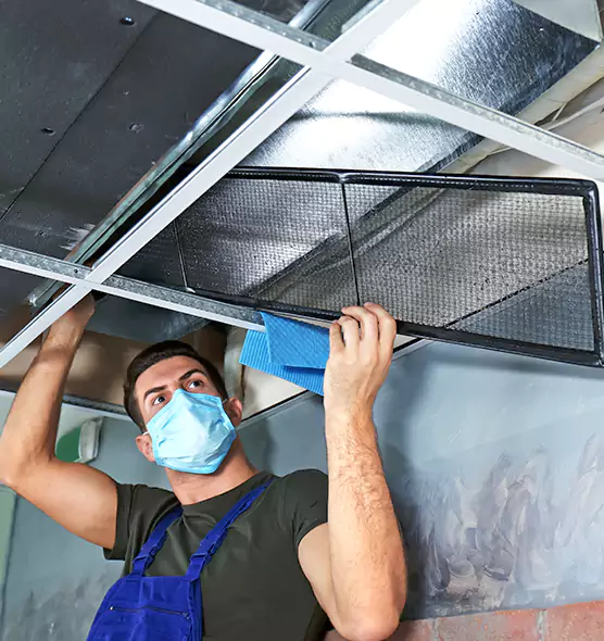 Professional Air Duct Pollen Cleaning in Wheeling, WV