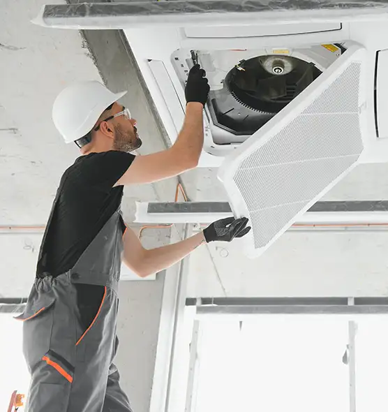 About Air Duct Rodent Removal in Wheeling, WV