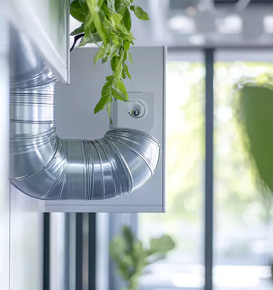 Professional Eco-Friendly Duct Cleaning Services in Wheeling, WV