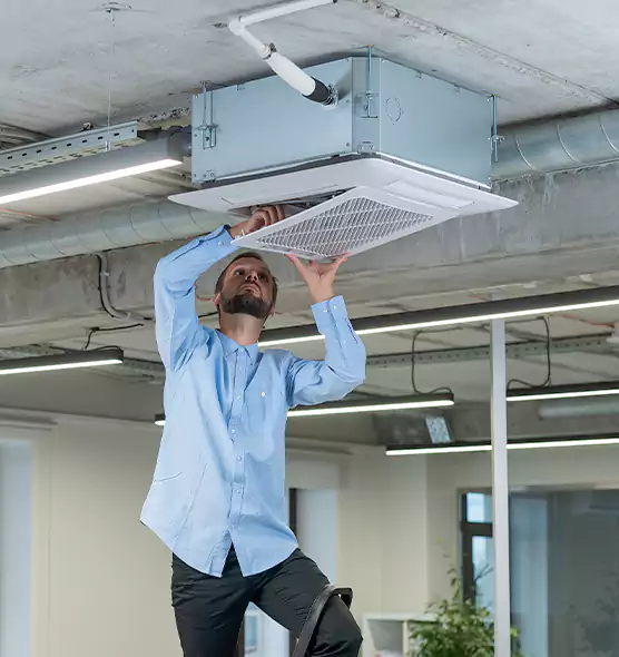 Advanced Rodent Droppings In Vents in Wheeling, WV