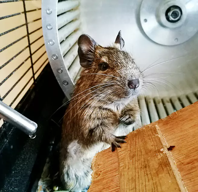 Why Homeowners & Businesses Trust Us Wheeling, WV