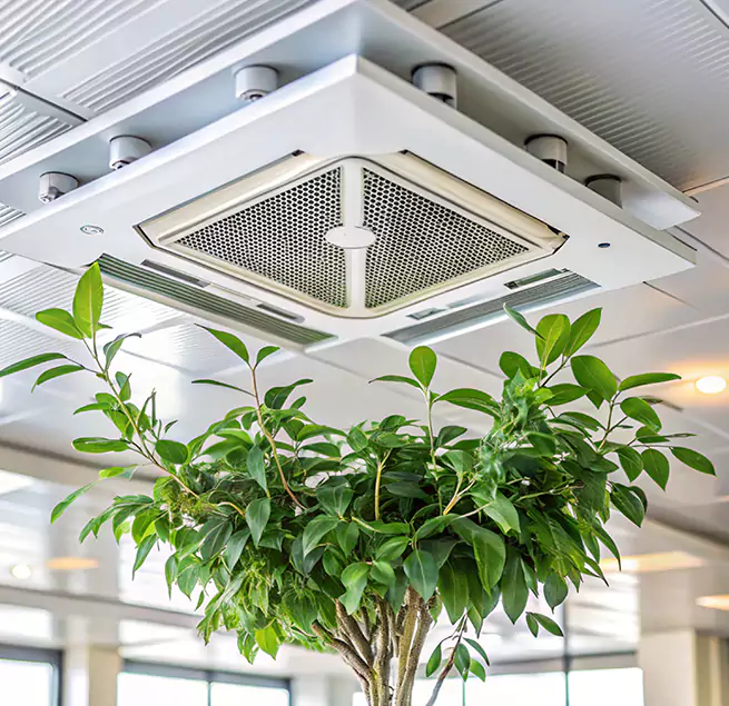 Why Homeowners & Businesses Trust Us in Wheeling, WV?