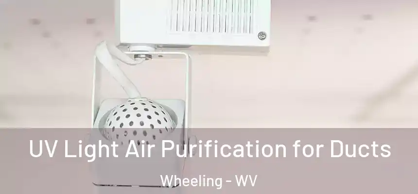  UV Light Air Purification for Ducts Wheeling - WV